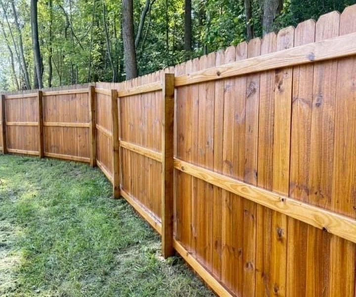 Freshly stained wood privacy fence along a wooded backyard